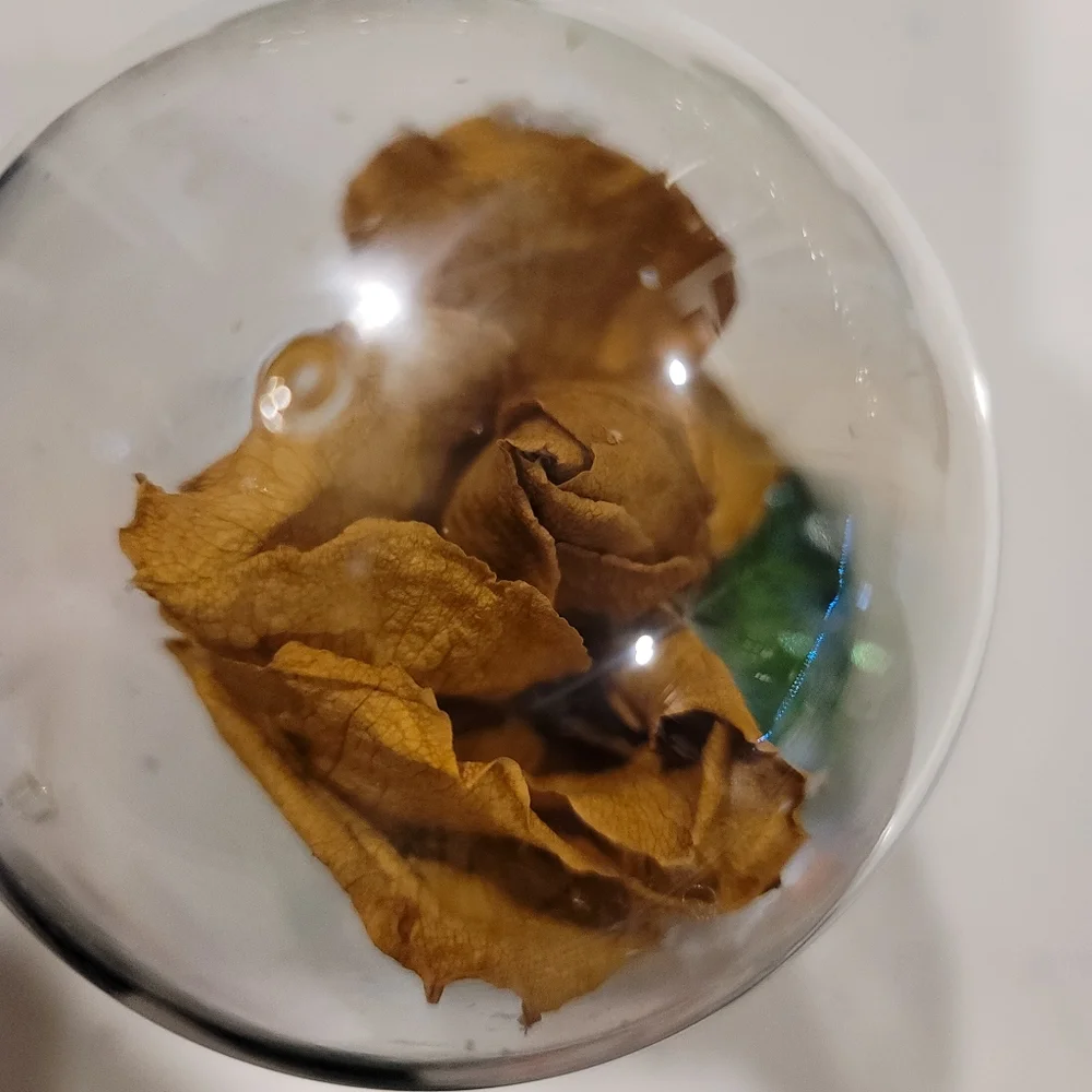 Belle and the Cogsworth Clock in the globe with Rose Beauty and the beast - Picture 3 of 3